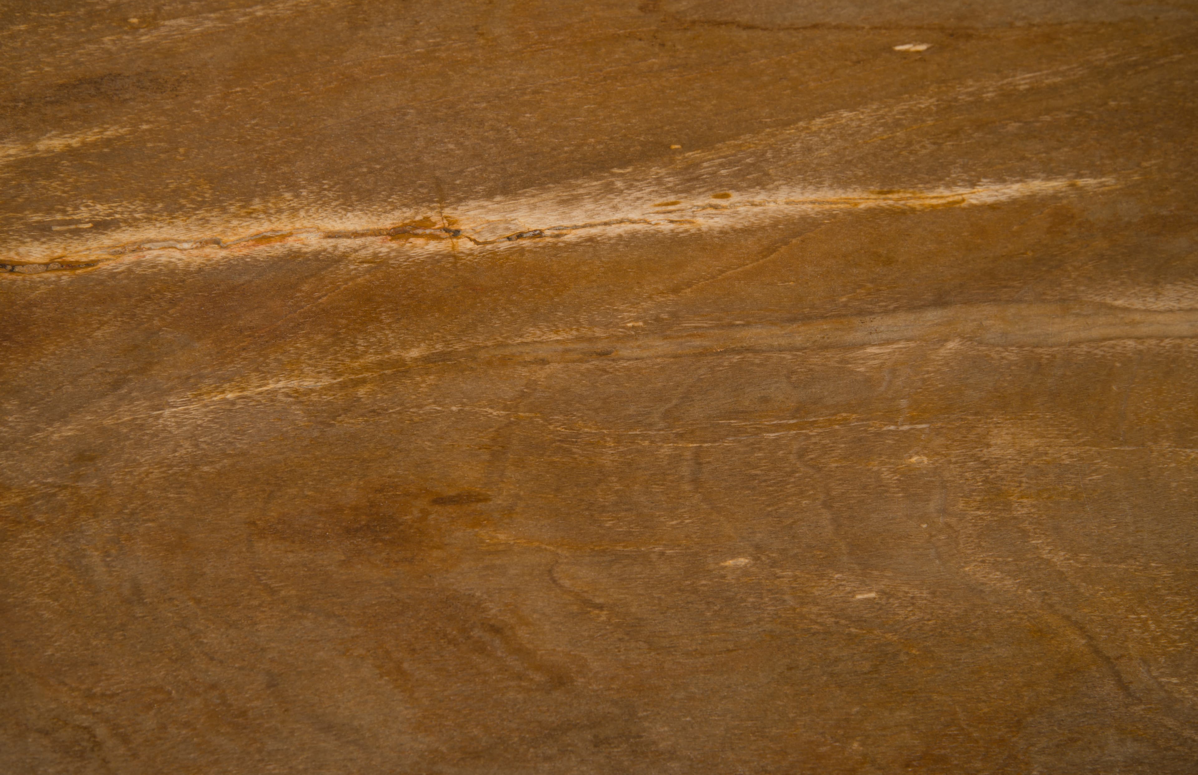 Приставной столик Phillips Collection Petrified Petrified Wood Side Table — фото 3