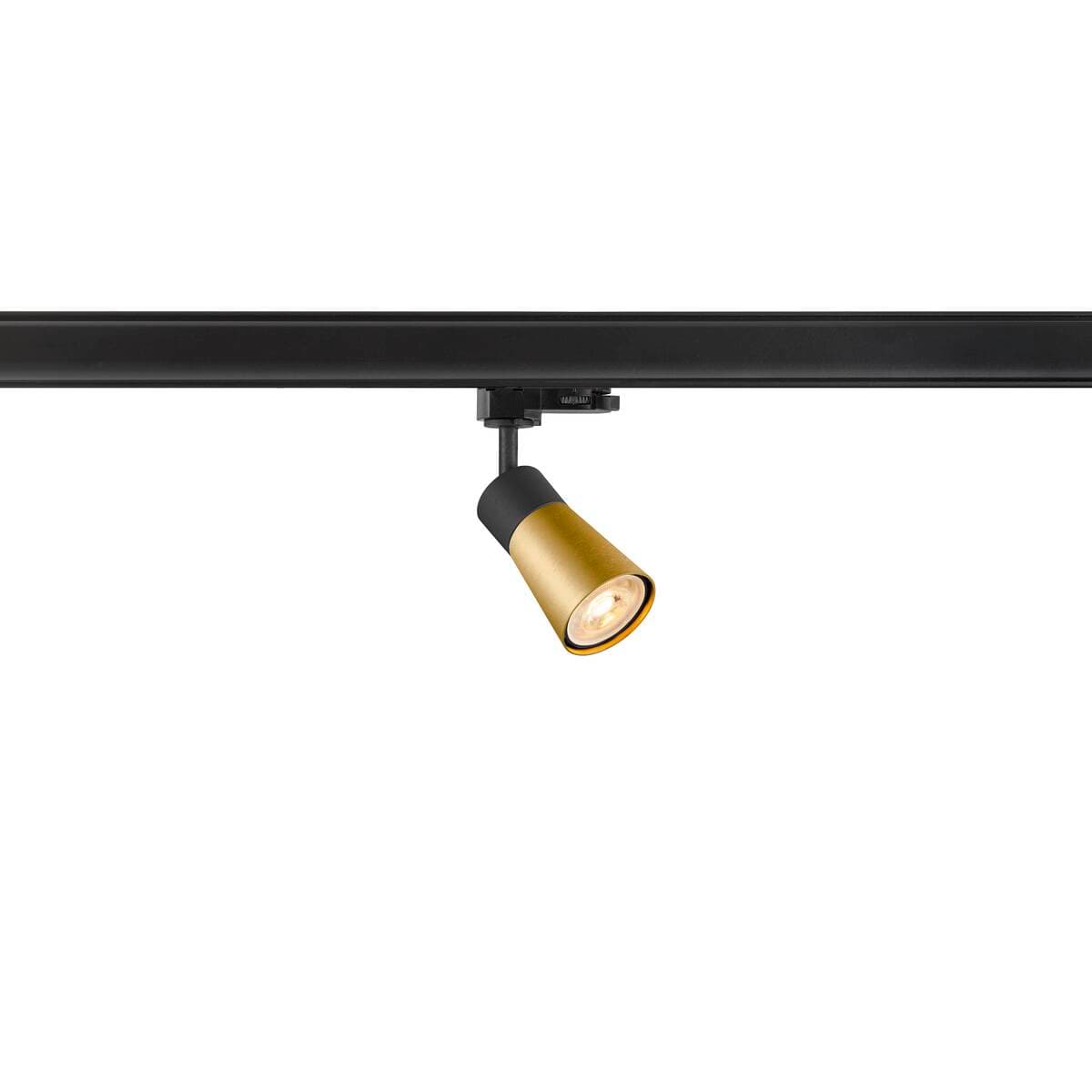SLV PURI 2.0 Cone