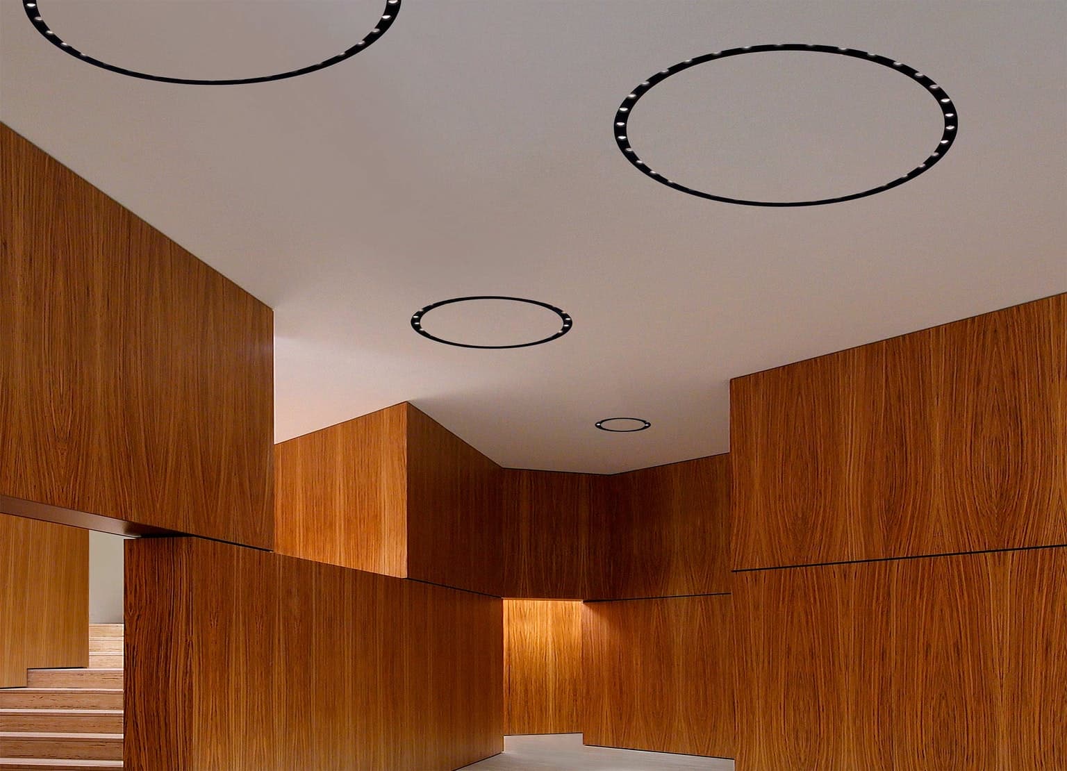 Flos Professional Circle of Light — фото 2