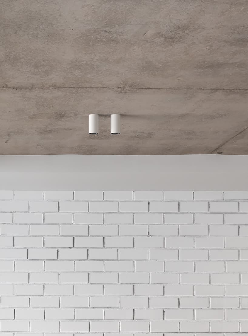 Flos Professional Light Shadow Pro Ø45 Surface — фото 3