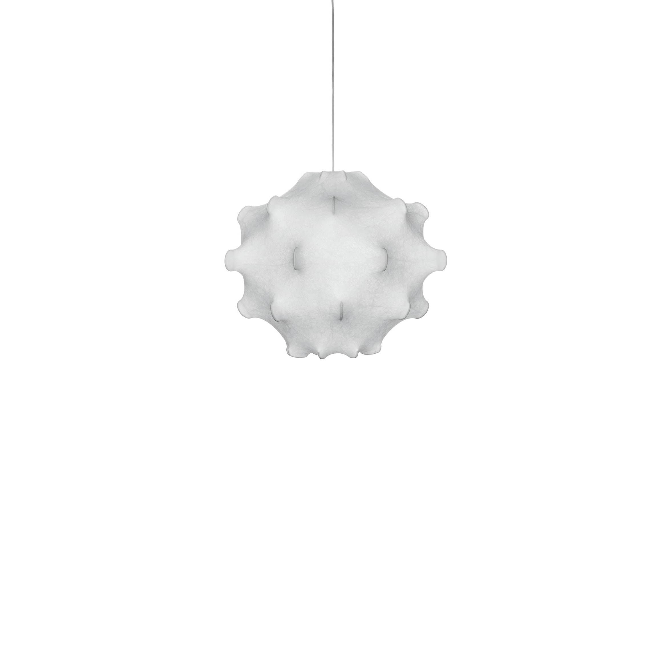 Flos Taraxacum 1