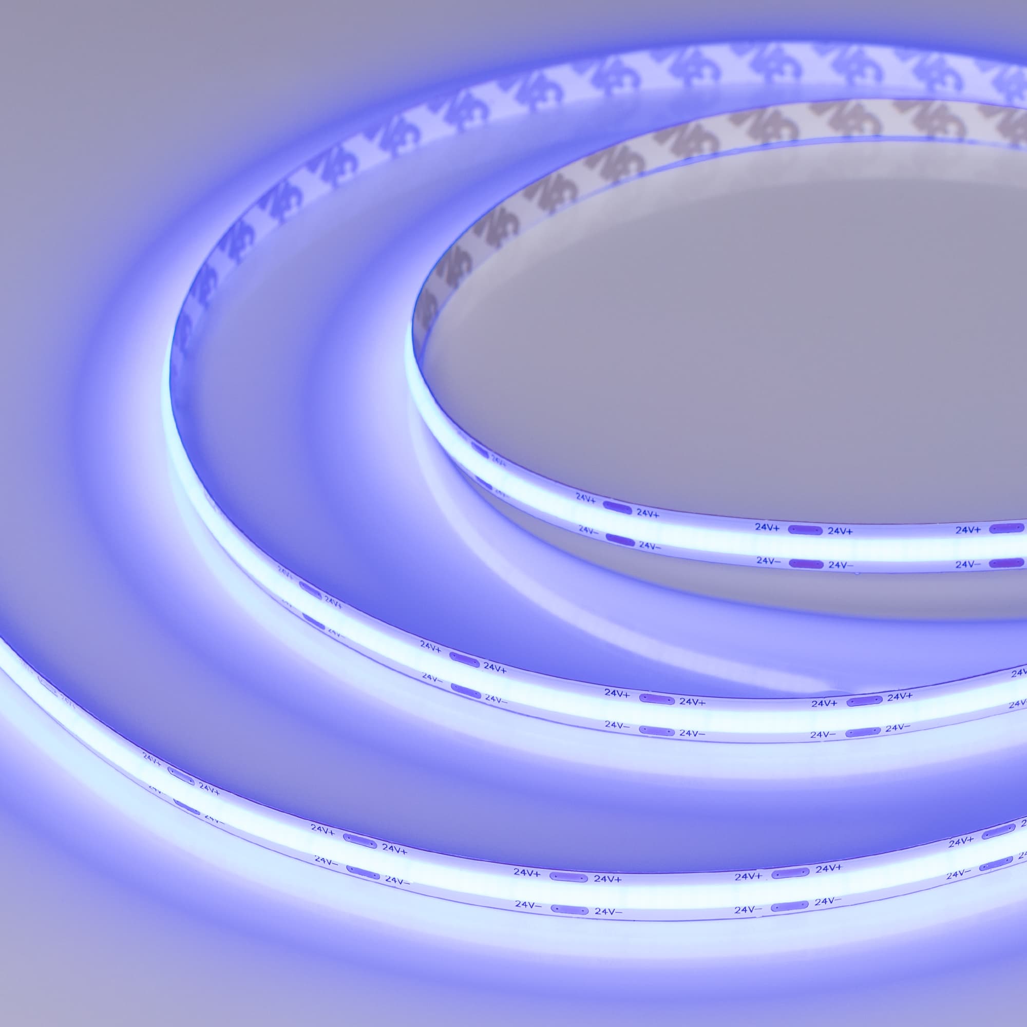 Светодиодная лента COB-5000-CSP-544-24V Blue (8mm, 11.5W, IP20) (Arlight, -) 032175 — фото 3