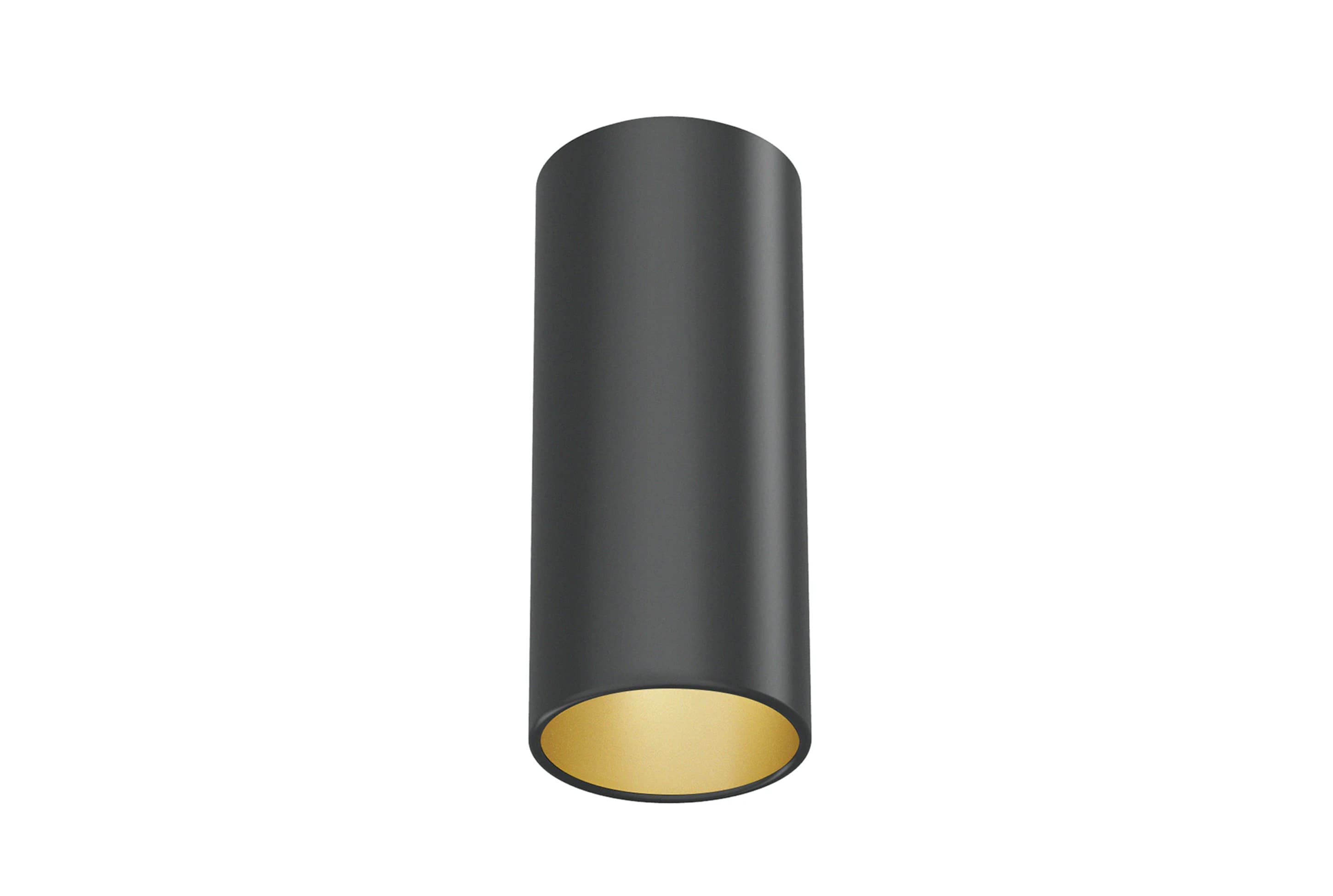 Flos Professional Kap 100 Wall/Ceiling/Suspension