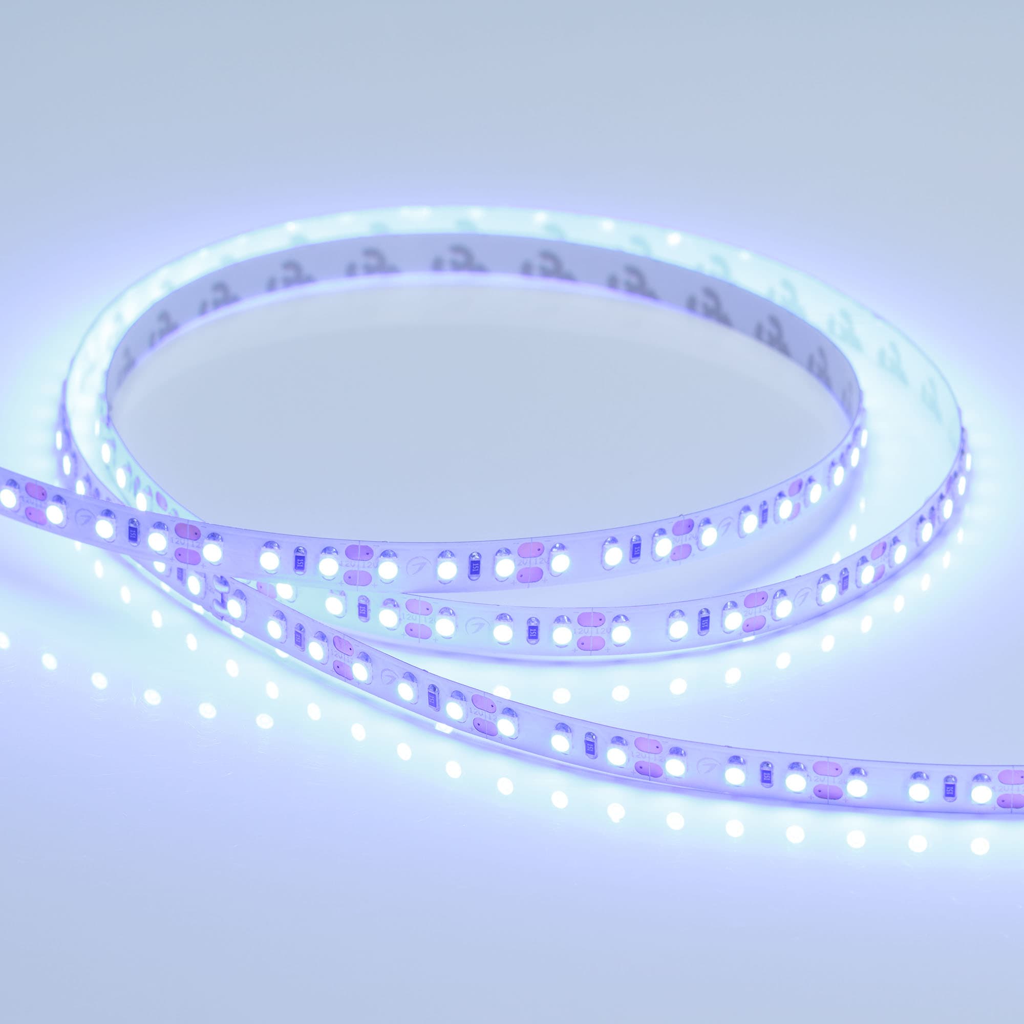 Светодиодная лента RT 2-5000 12V Blue 2x (3528, 600 LED, LUX) (Arlight, 9.6 Вт/м, IP20) 012330(1) — фото 3