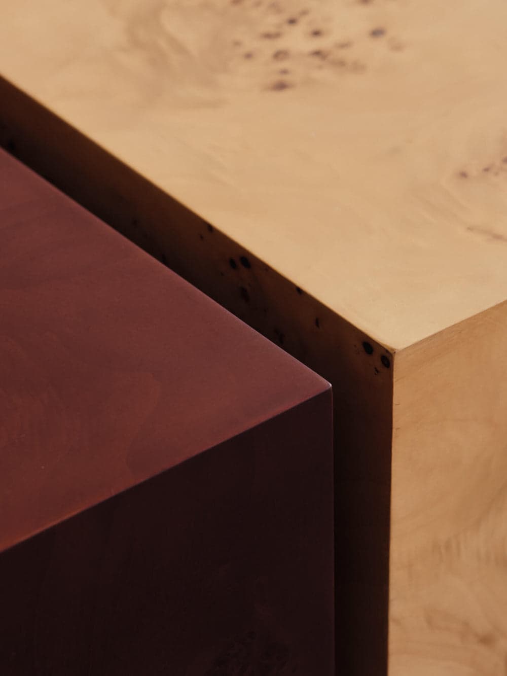 Ferm Living Burl Storage Coffee Table - Dark Stained Burl — фото 7