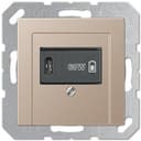 USB розетка для зарядки мобильных устройств тип C, 5-60W, шампань, Jung