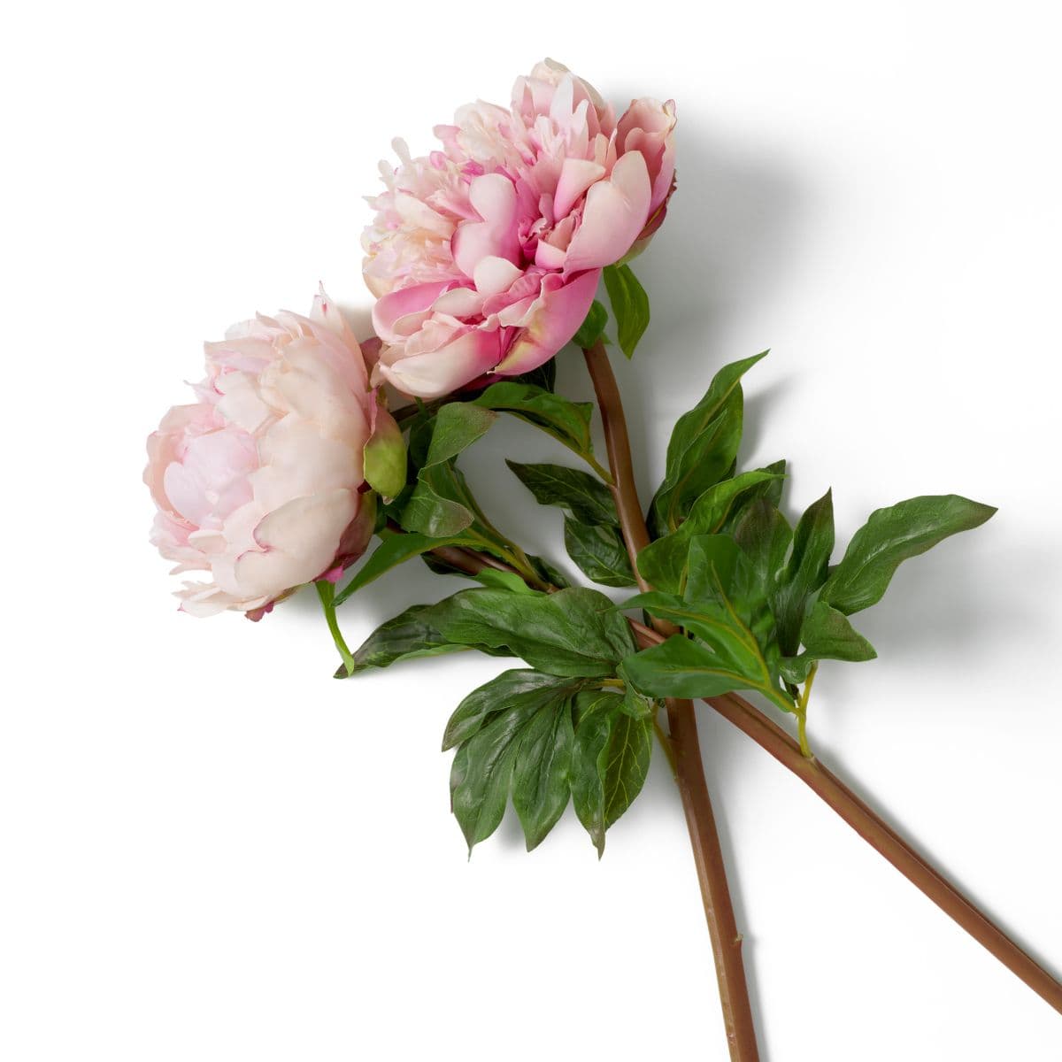 Eichholtz Bouquet of Peonies real touch 48 pcs/2 varieties — фото 4