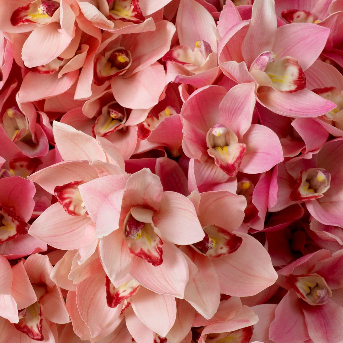 Eichholtz Bouquet of Cymbidium Orchids real touch 36 pcs — фото 3