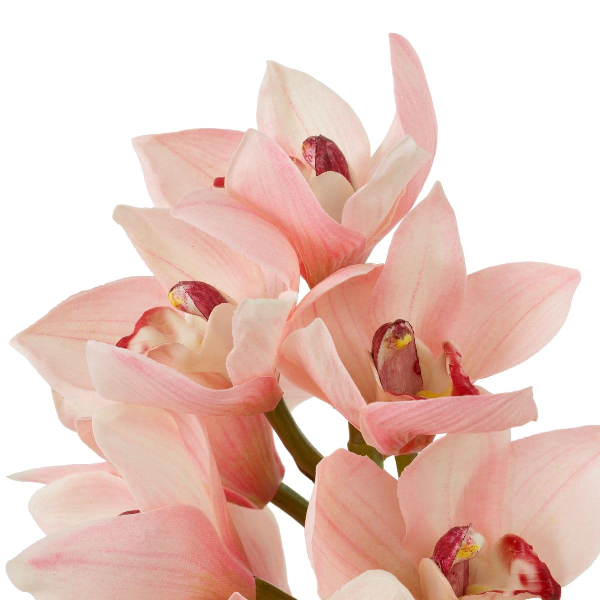 Eichholtz Bouquet of Cymbidium Orchids real touch 36 pcs — фото 6