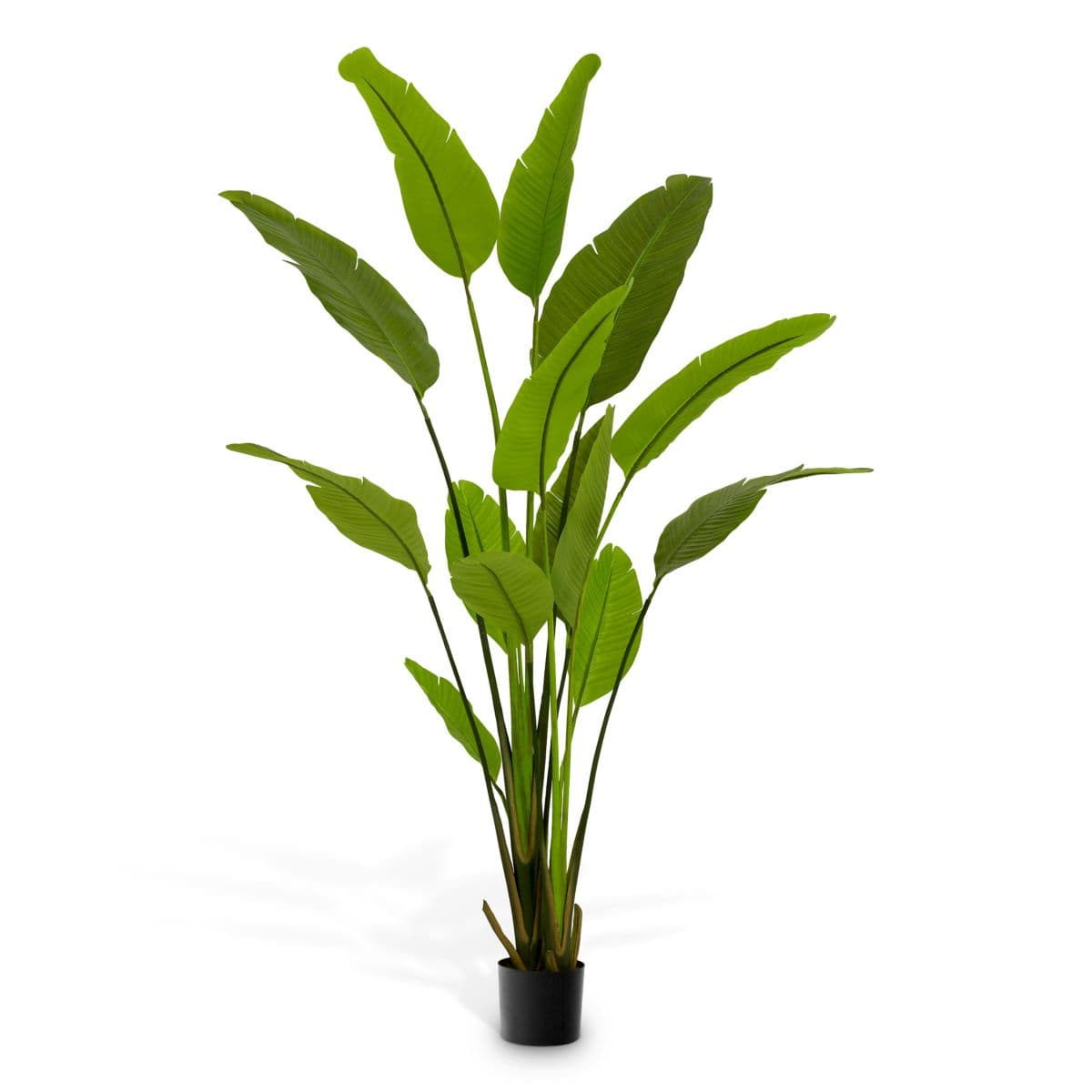 Eichholtz Artificial Plant Strelitzia M