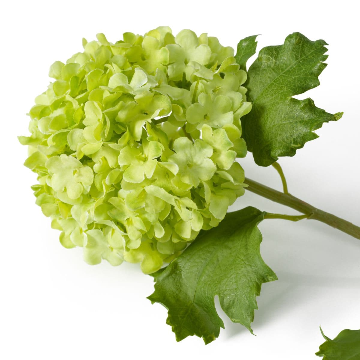 Eichholtz Bouquet of Hydrangeas snowball real touch 36 pcs — фото 5