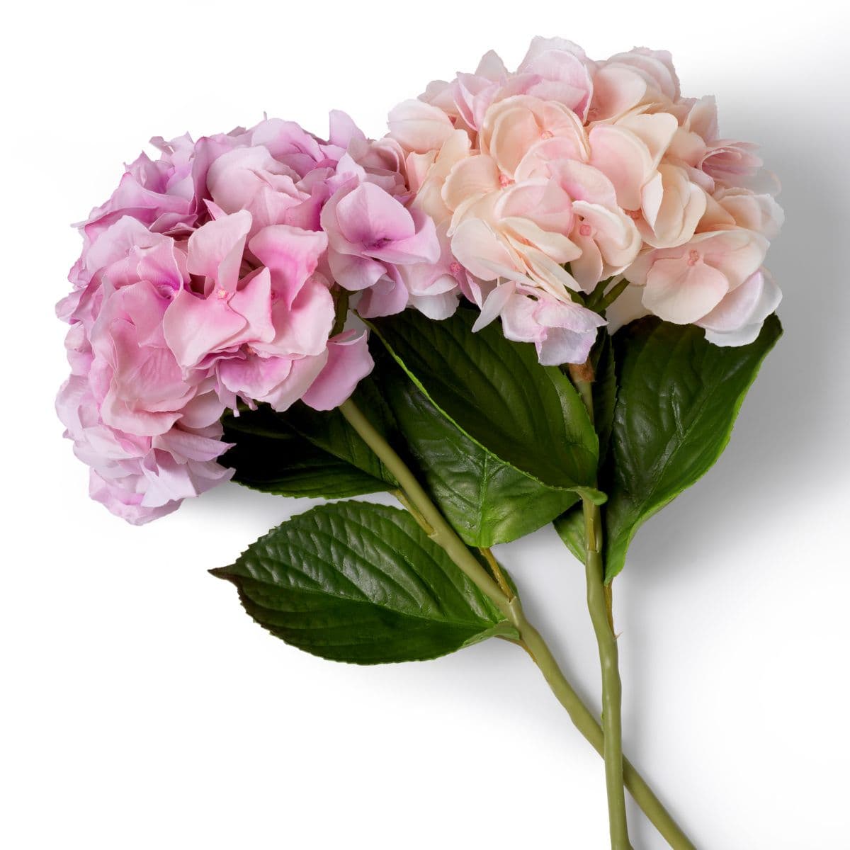 Eichholtz Bouquet of Hydrangeas real touch 48 pcs/2 varietie — фото 3