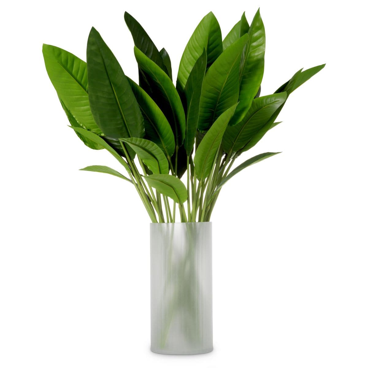 Eichholtz Bundle of Strelitzia leaves 36 pcs