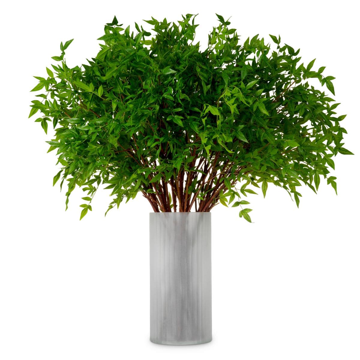 Eichholtz Bundle of Tender leaves 36 pcs