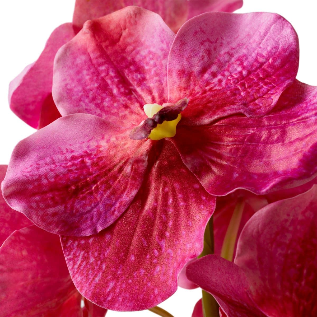 Eichholtz Bouquet of Vanda Orchids real touch 24 pcs — фото 4