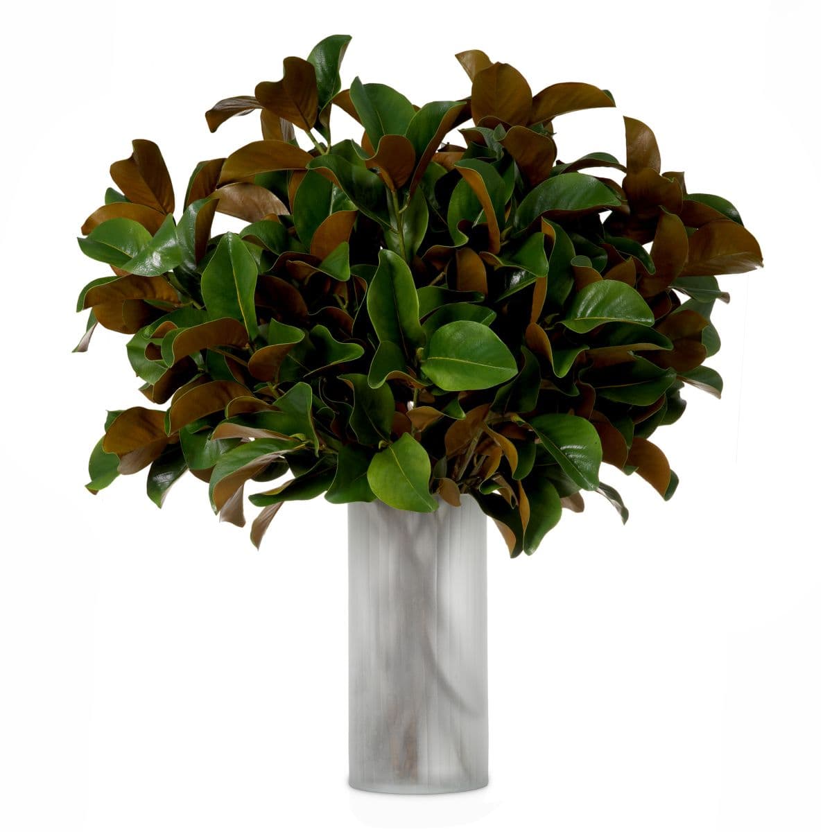 Eichholtz Bundle of Magnolia leaves 24 pcs