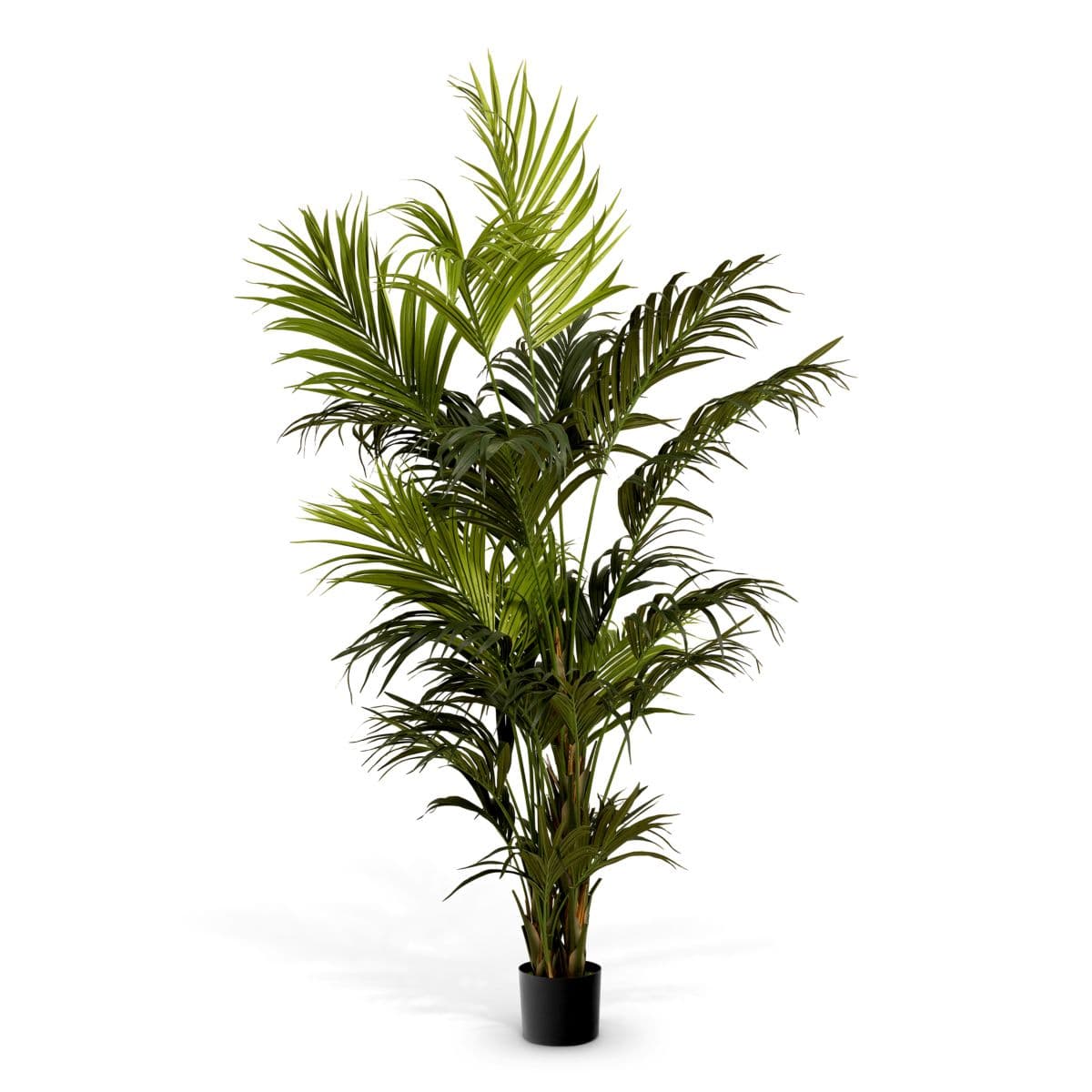 Eichholtz Artificial Plant Kentia Palm