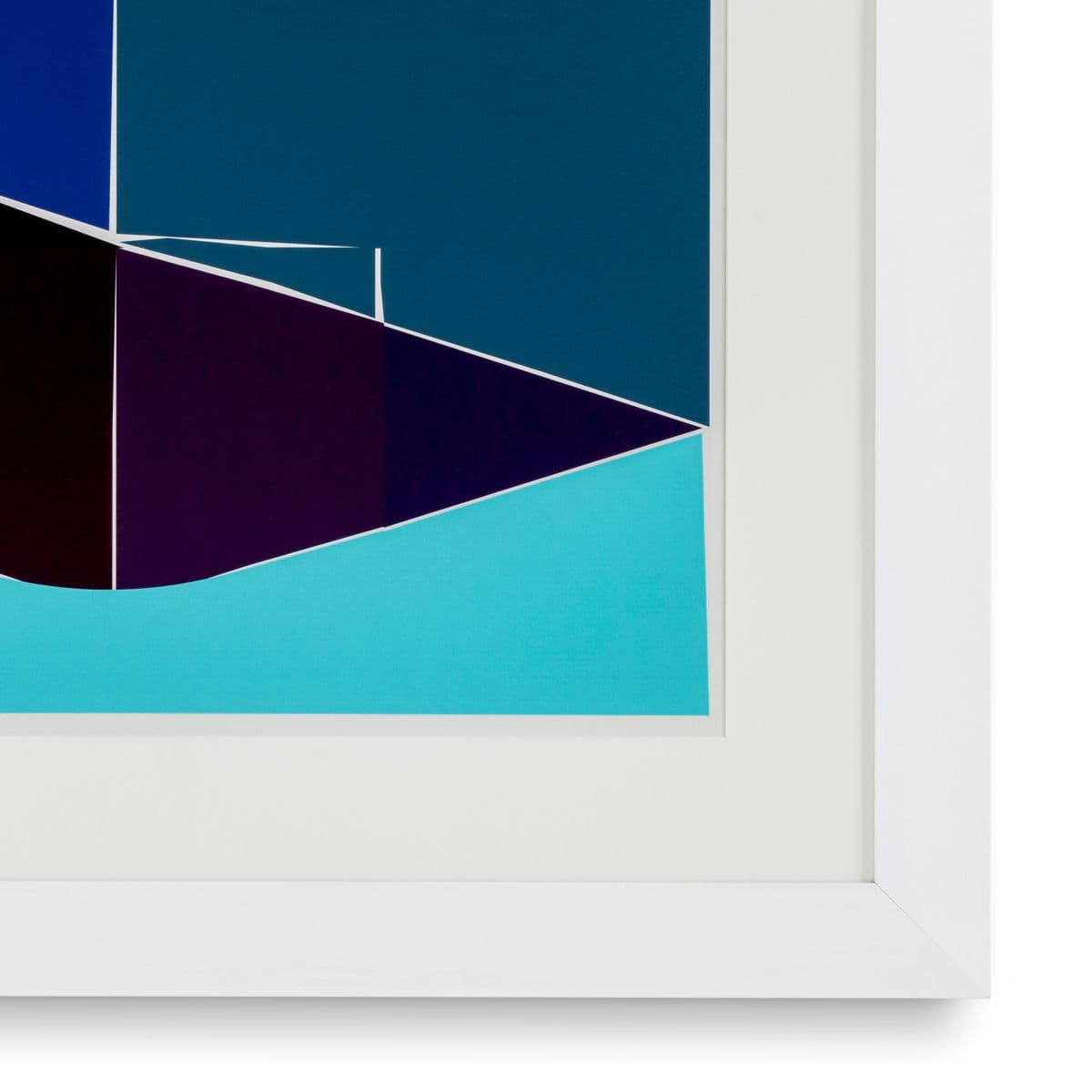 Eichholtz Print Silkscreen from Boissière I by Henri Boissiè — фото 4