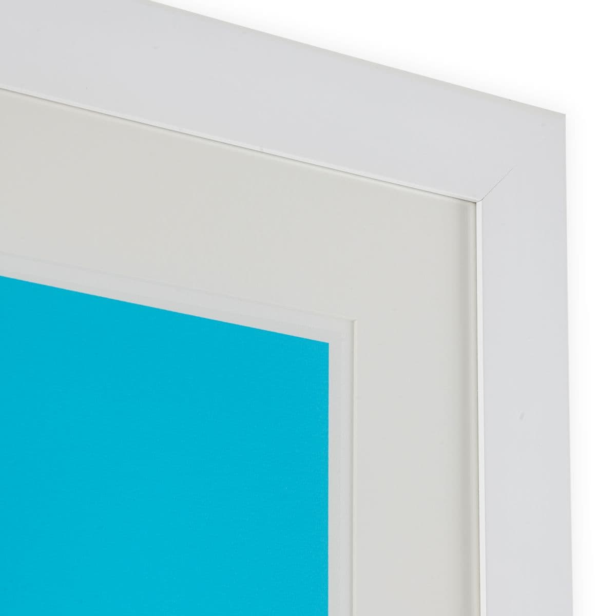 Eichholtz Print Silkscreen from Boissière II by Henri Boissi — фото 3