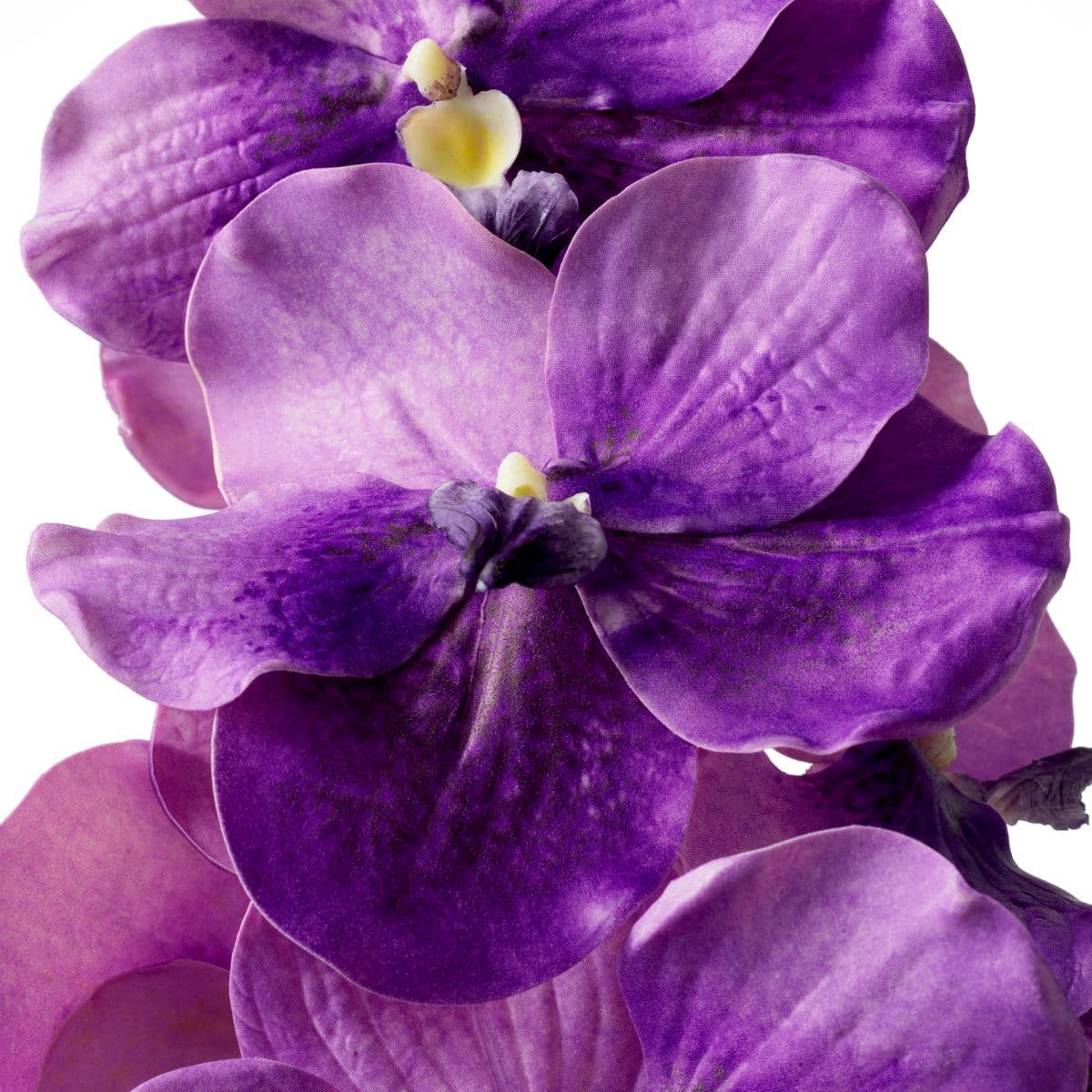 Eichholtz Bouquet of Vanda Orchids real touch 24 pcs — фото 4