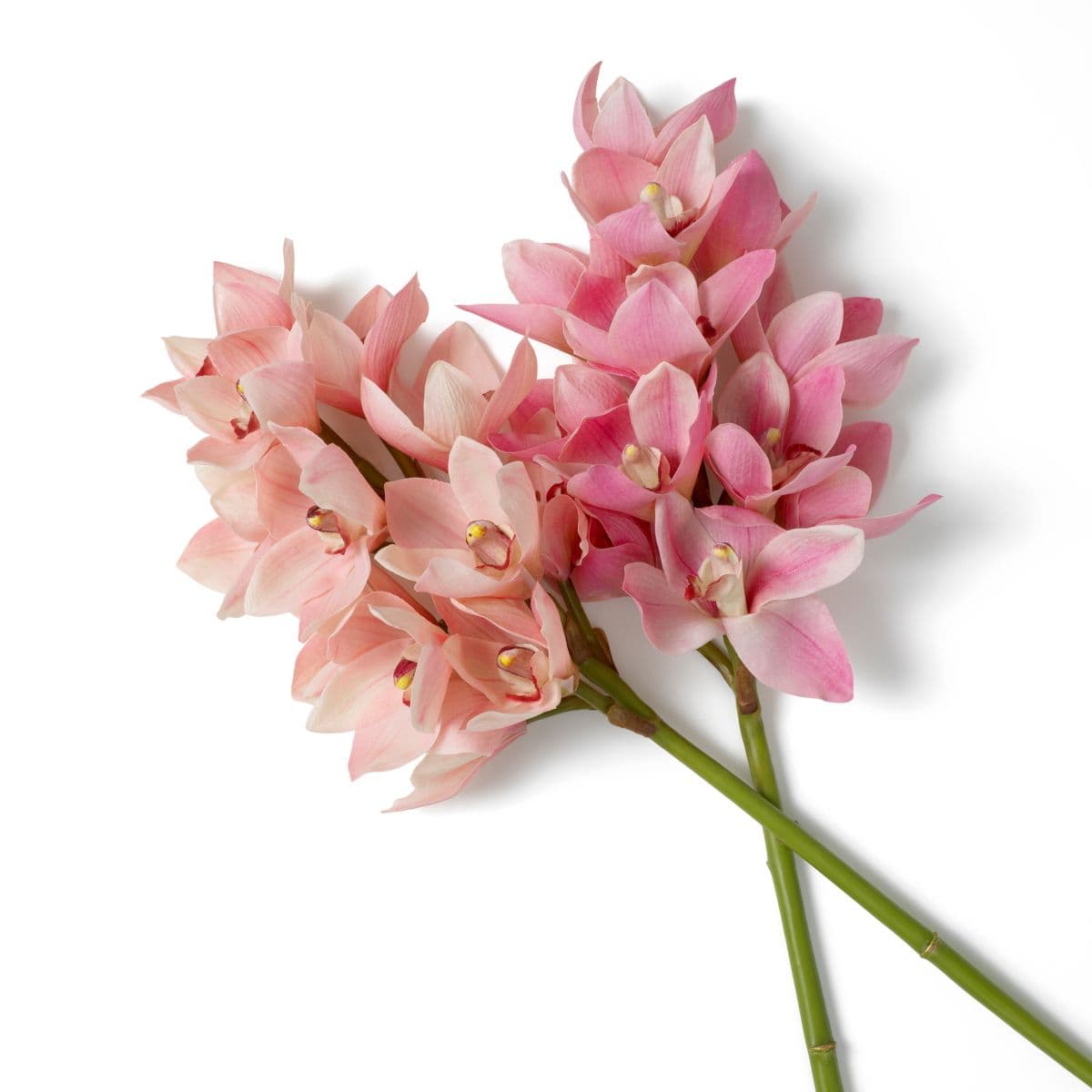 Eichholtz Bouquet of Cymbidium Orchids real touch 36 pcs — фото 4