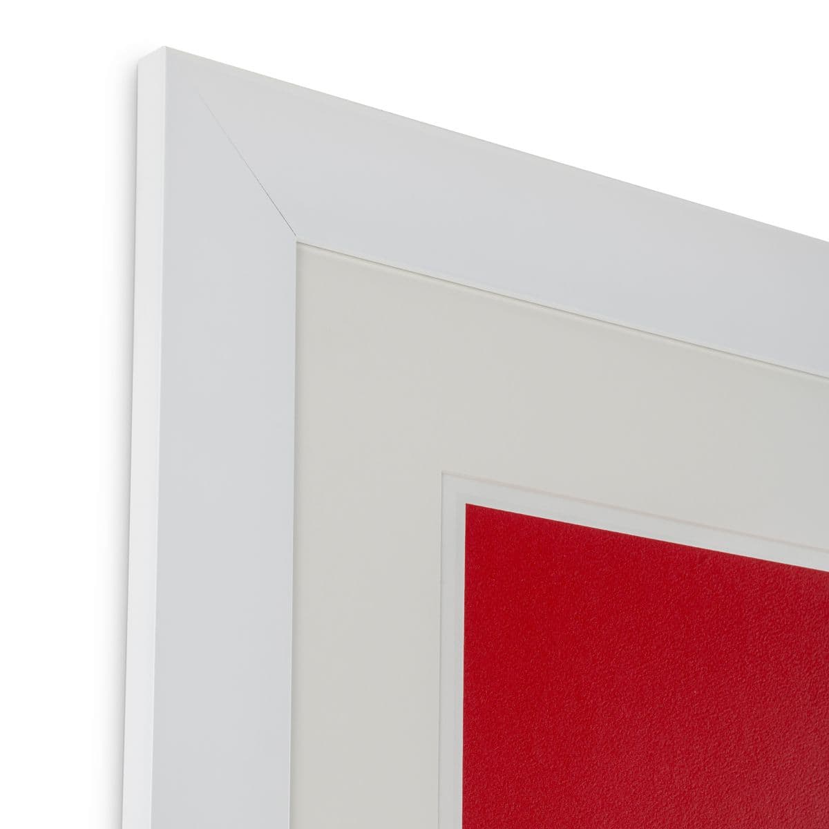 Eichholtz Print Silkscreen from Boissière II by Henri Boissi — фото 2