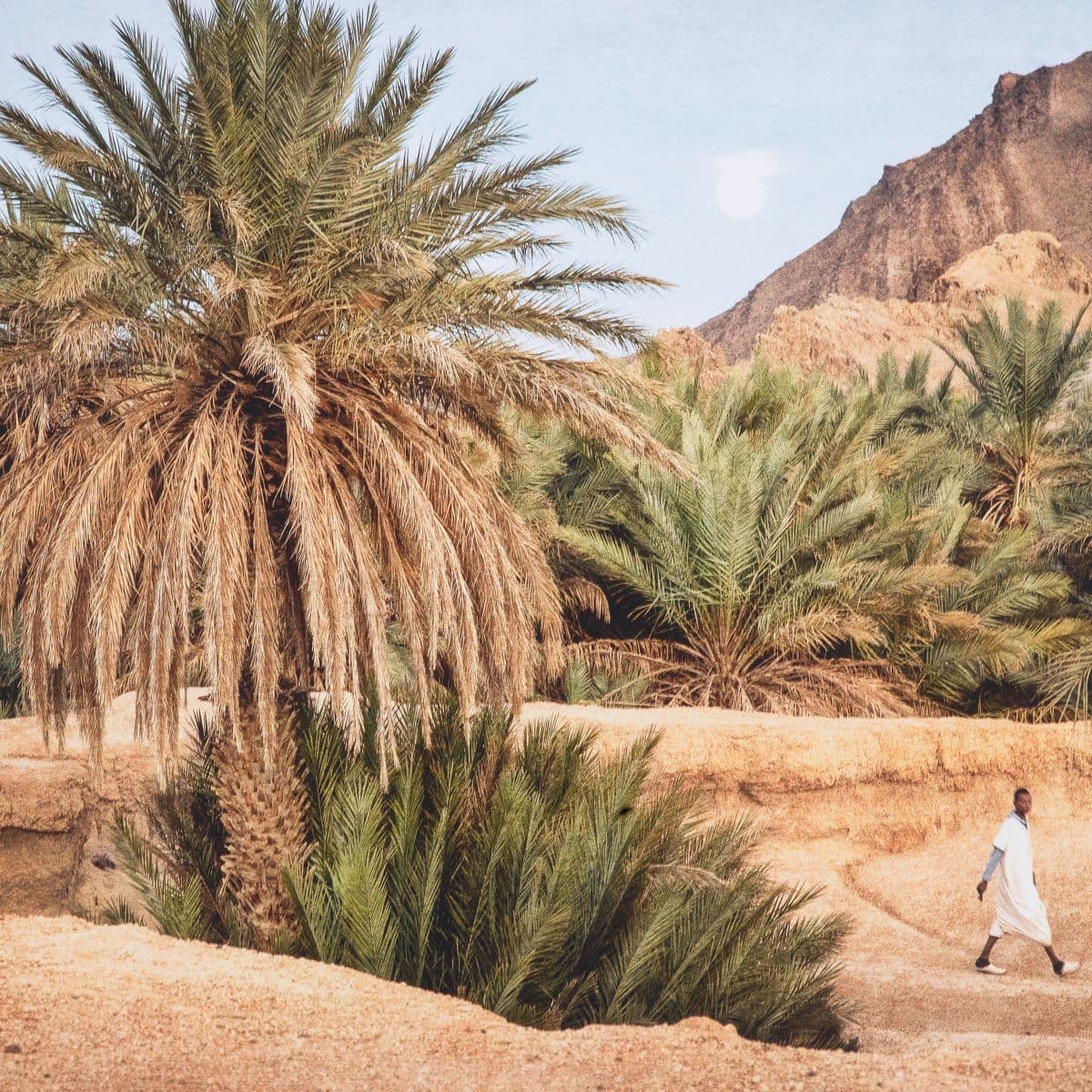 Eichholtz Print Marta Rossignol - Moroccan Oasis — фото 2