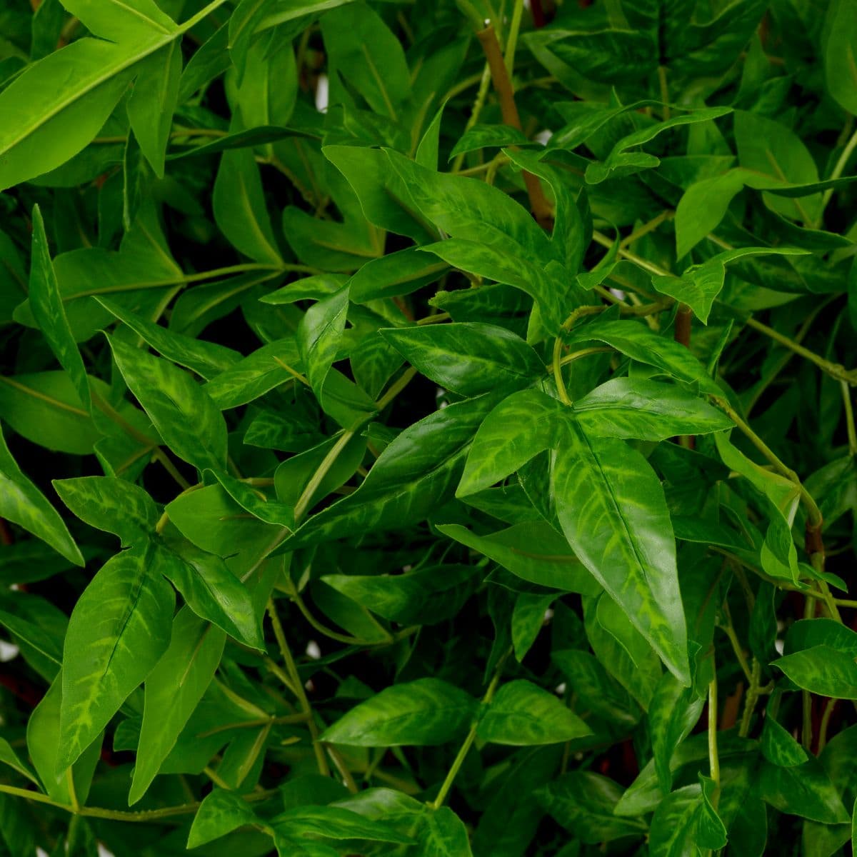 Eichholtz Bundle of Tender leaves 36 pcs — фото 2
