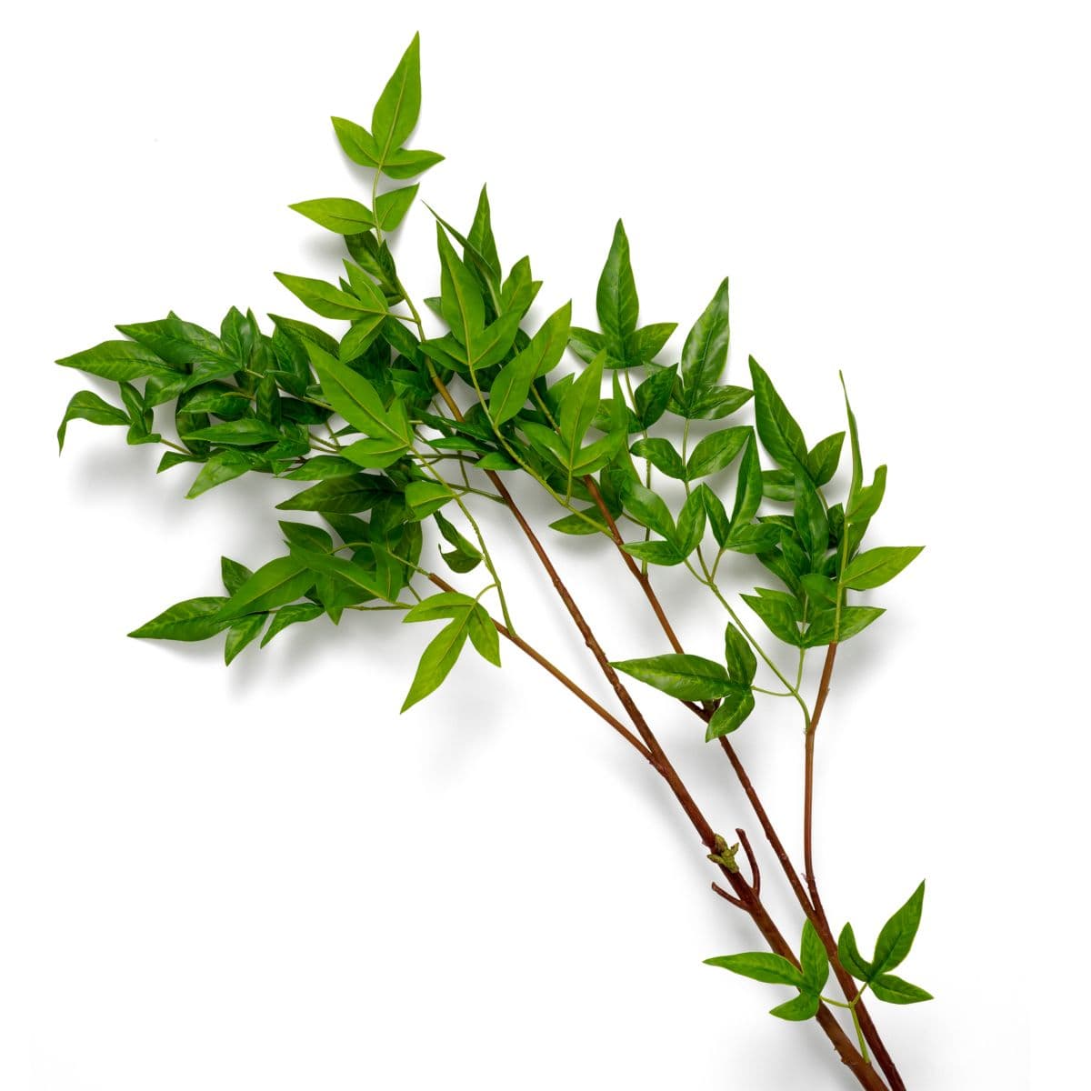 Eichholtz Bundle of Tender leaves 36 pcs — фото 3
