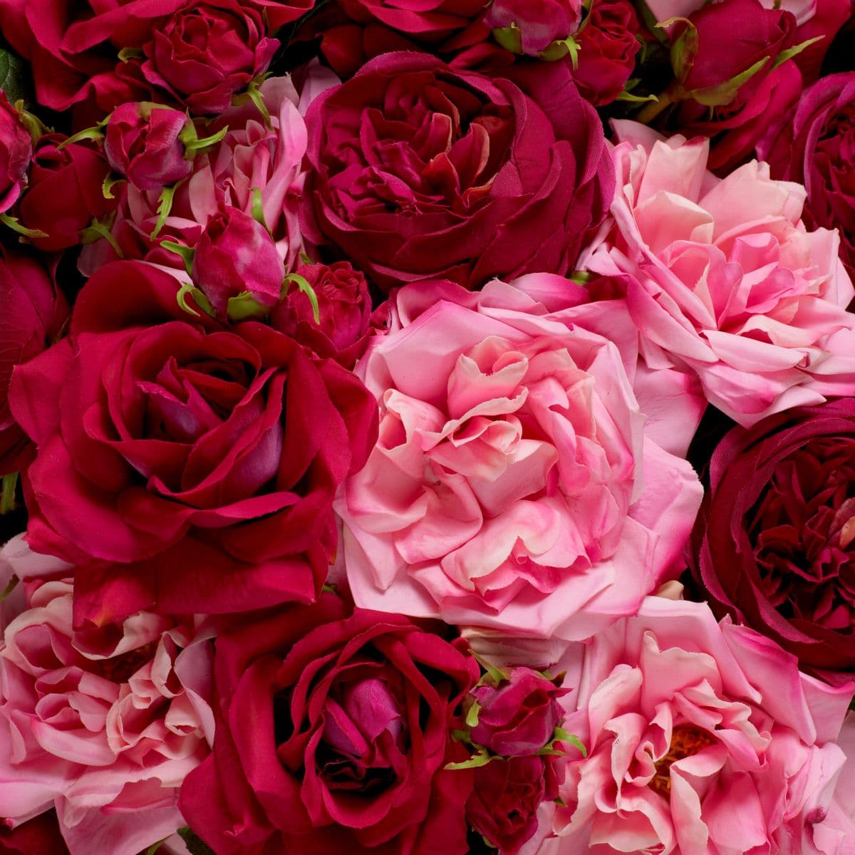 Eichholtz Bouquet of Roses real touch 72 pcs/3 varieties — фото 3