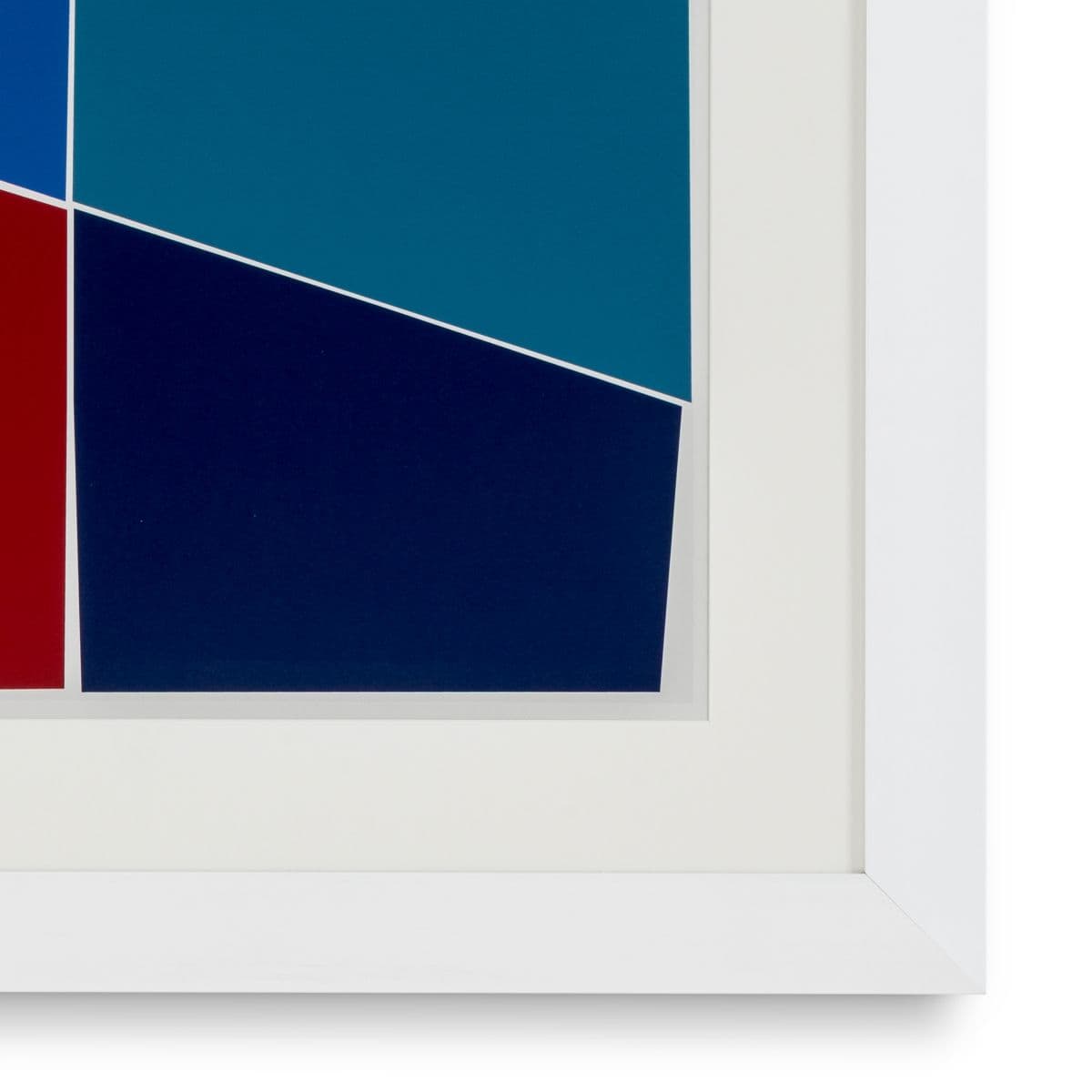 Eichholtz Print Silkscreen from Boissière II by Henri Boissi — фото 4