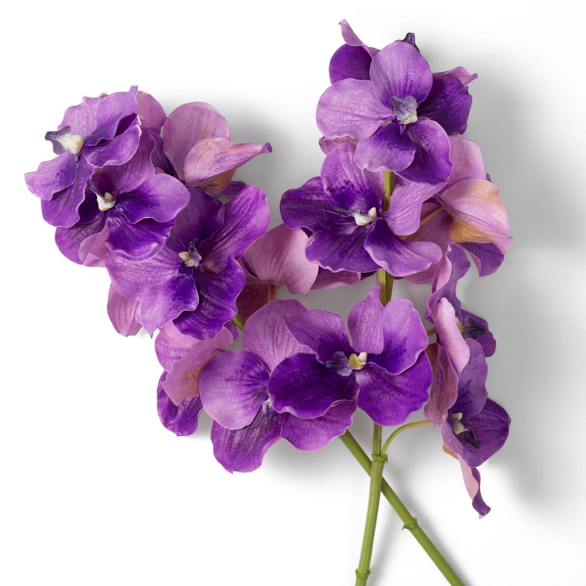 Eichholtz Bouquet of Vanda Orchids real touch 24 pcs — фото 3