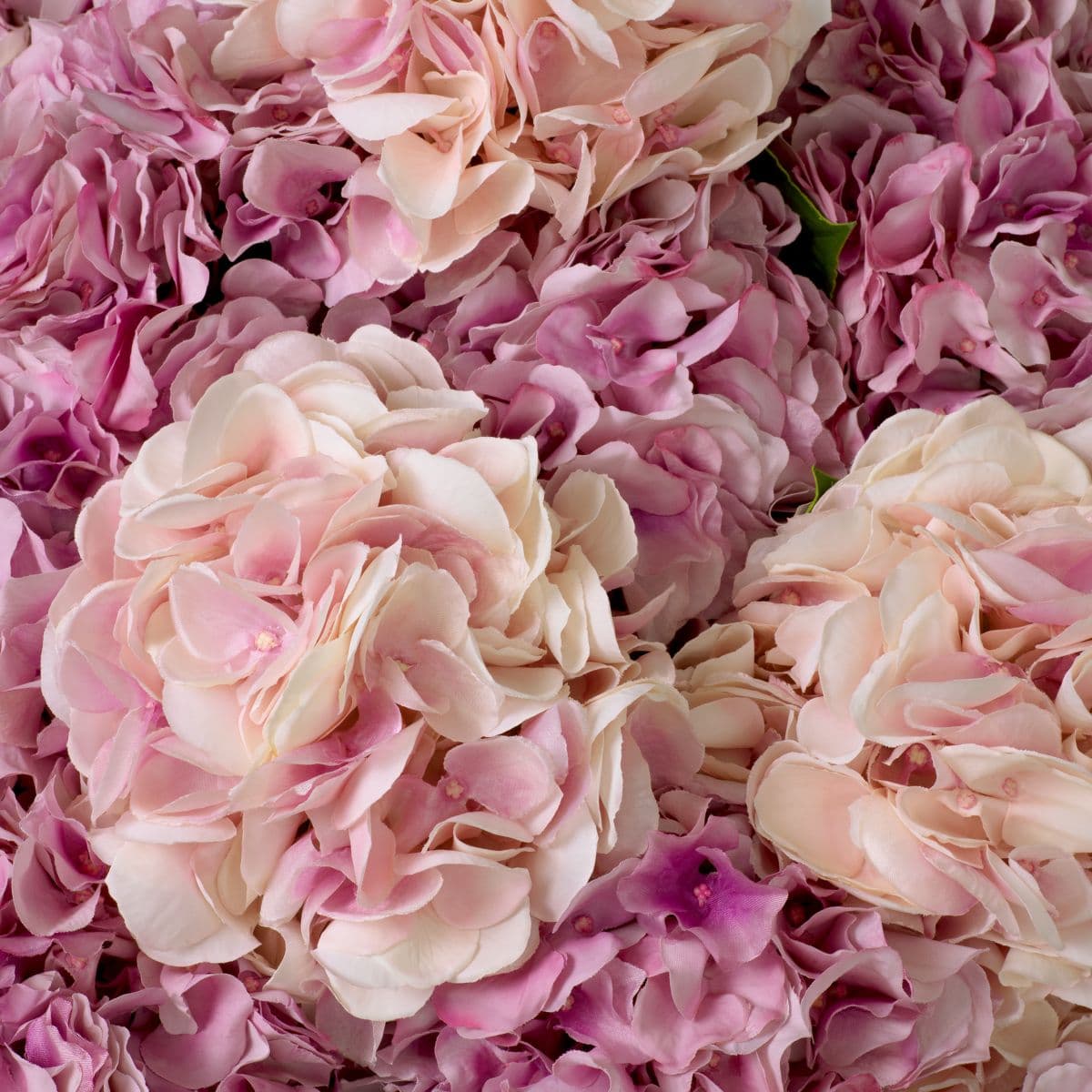 Eichholtz Bouquet of Hydrangeas real touch 48 pcs/2 varietie — фото 2