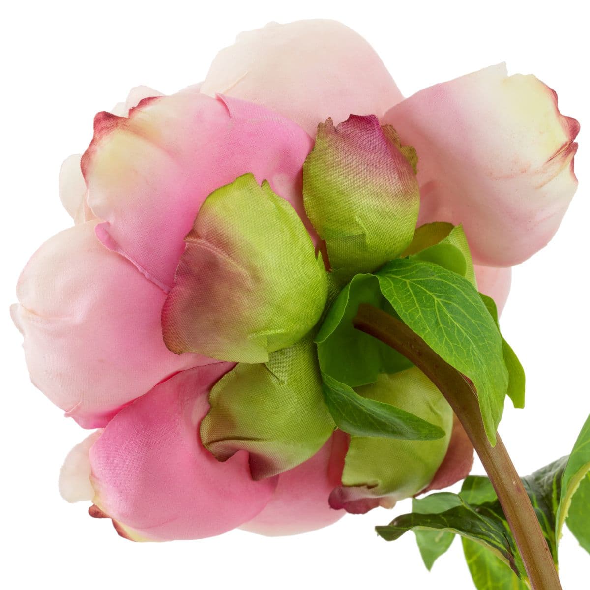 Eichholtz Bouquet of Peonies real touch 48 pcs/2 varieties — фото 6