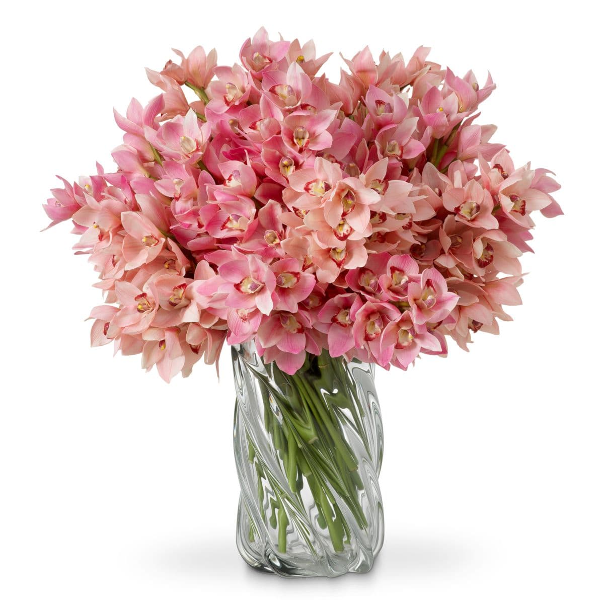 Eichholtz Bouquet of Cymbidium Orchids real touch 36 pcs