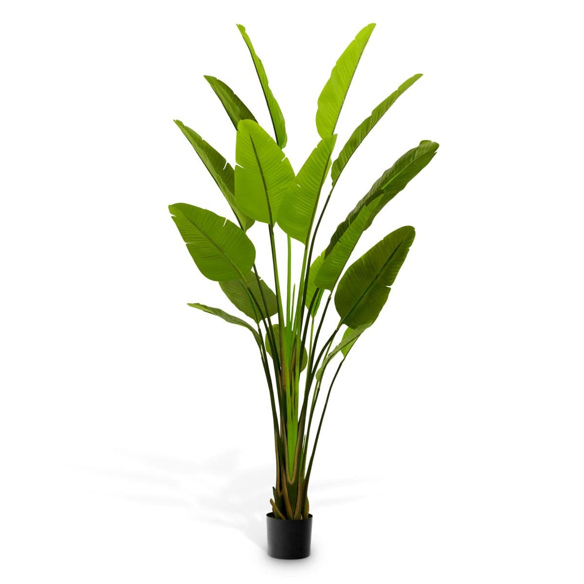 Eichholtz Artificial Plant Strelitzia L
