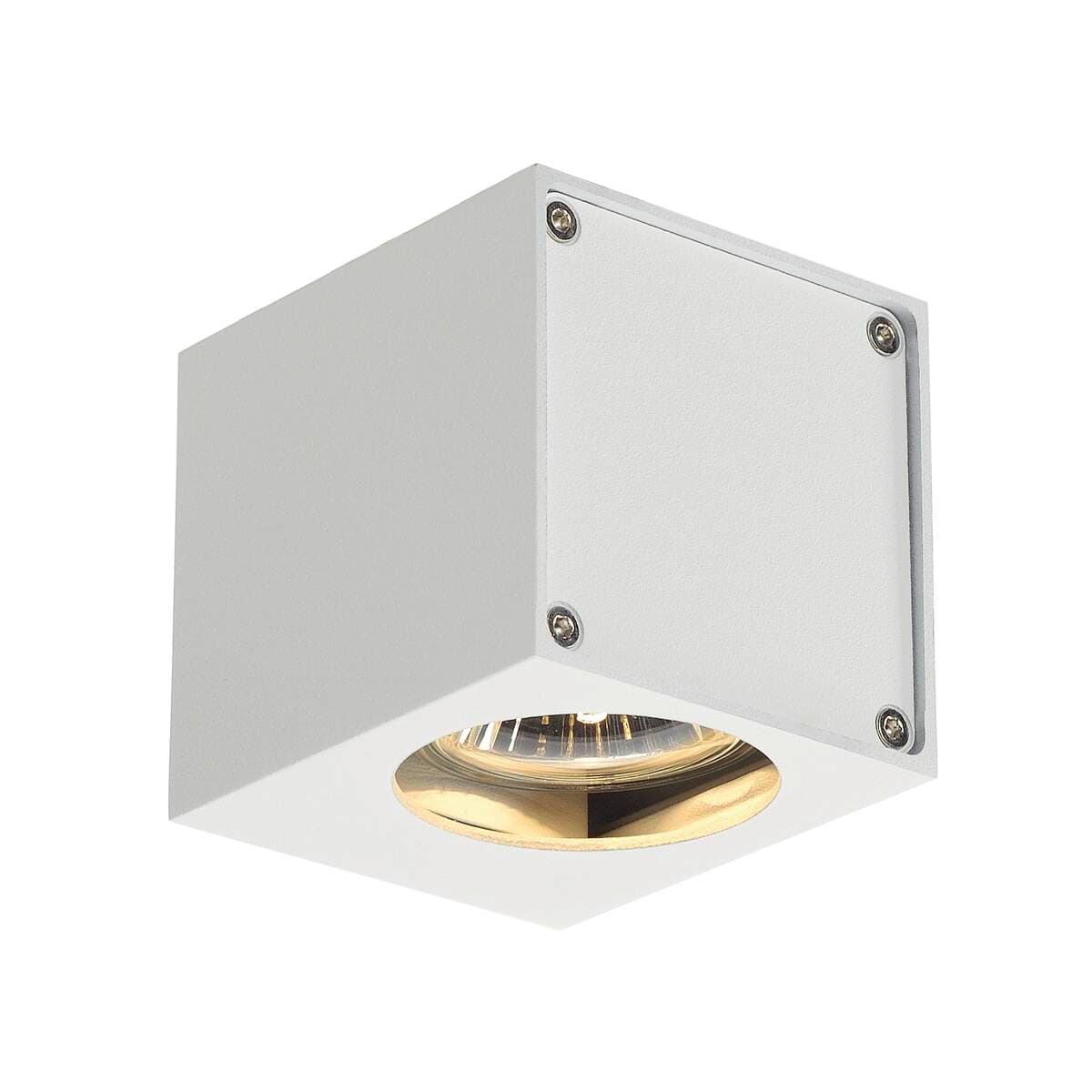 ALTRA DICE WL-1