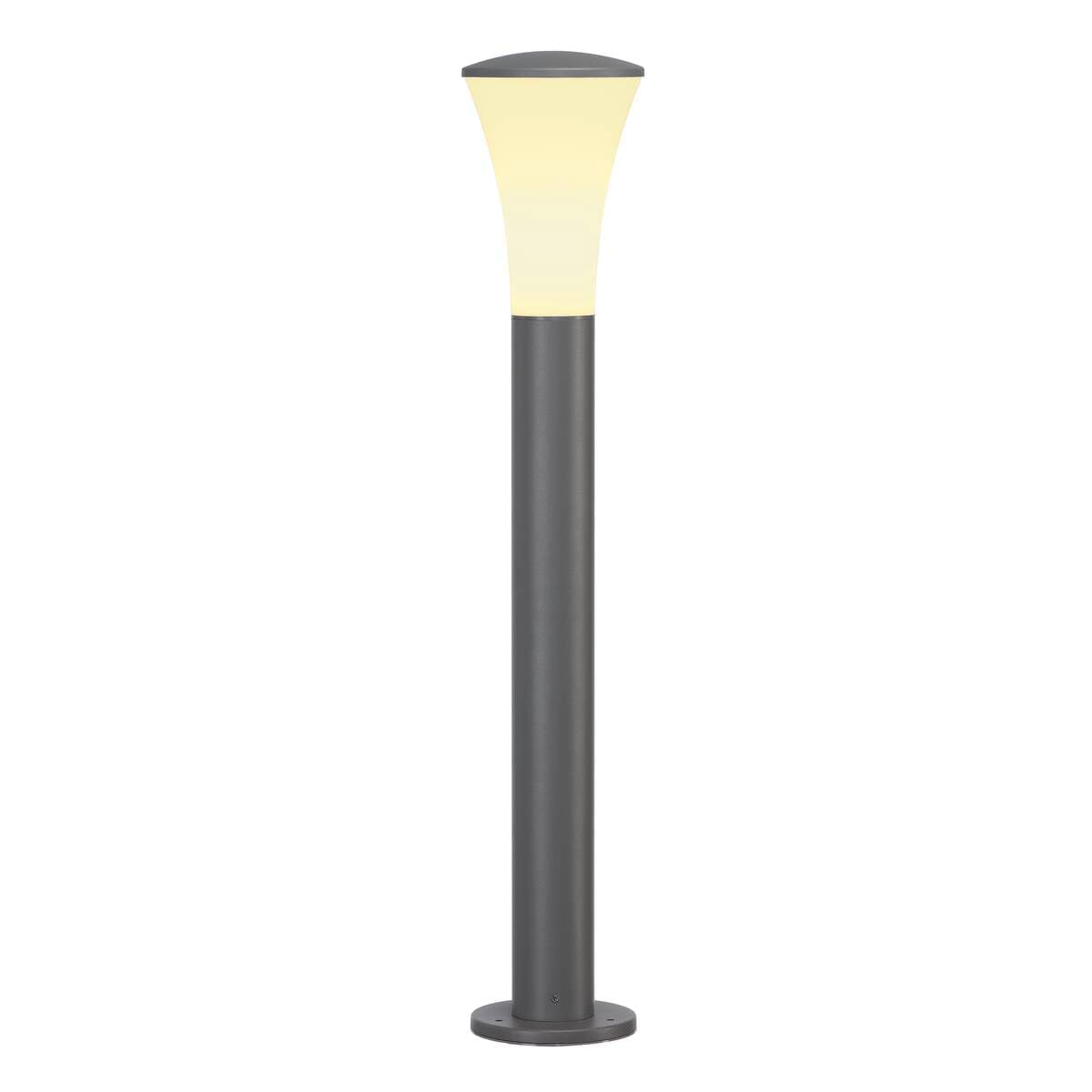 SLV — ALPA CONE 80