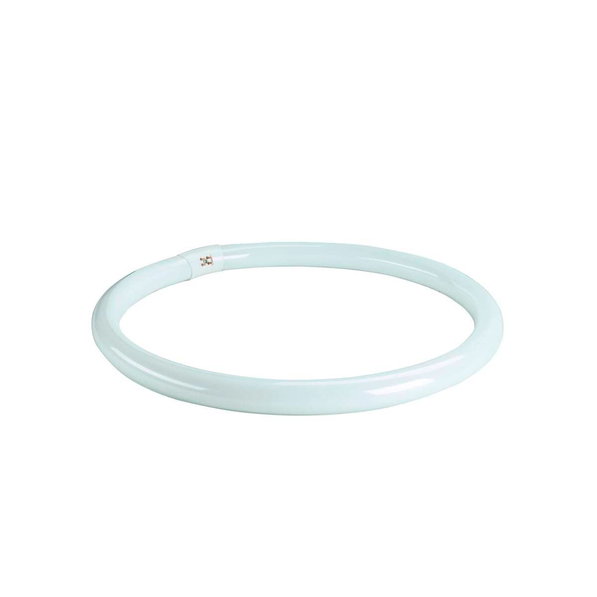 RING TUBE T8