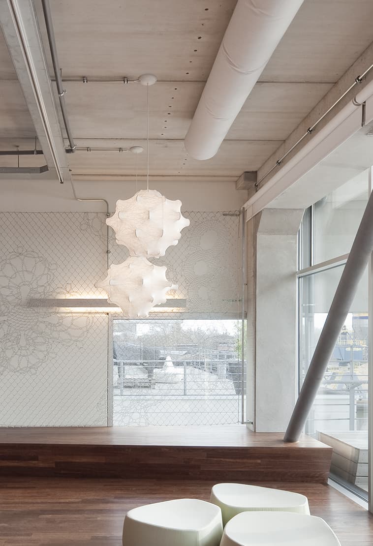 Flos Professional Taraxacum Flos