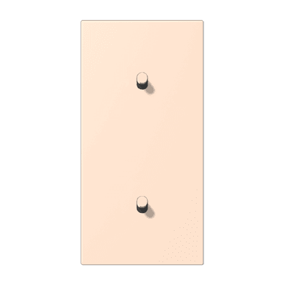 Накладка с 2 х 1 тумблерами, вертик., Jung LC12-20R0228 JUNG