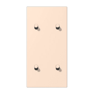 Накладка с 2 х 2 тумблерами, вертик., Jung LC12-25R0226 JUNG