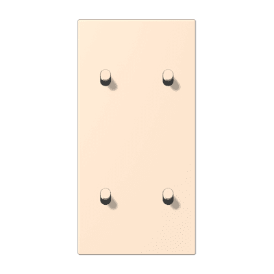 Накладка с 2 х 2 тумблерами, вертик., Jung LC12-25R0238 JUNG