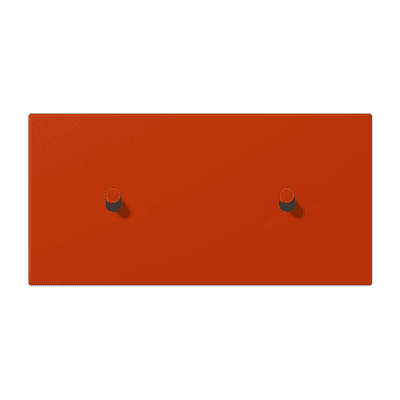 Накладка с 2 х 1 тумблерами, горизонт., Jung LC12-200R0244 JUNG