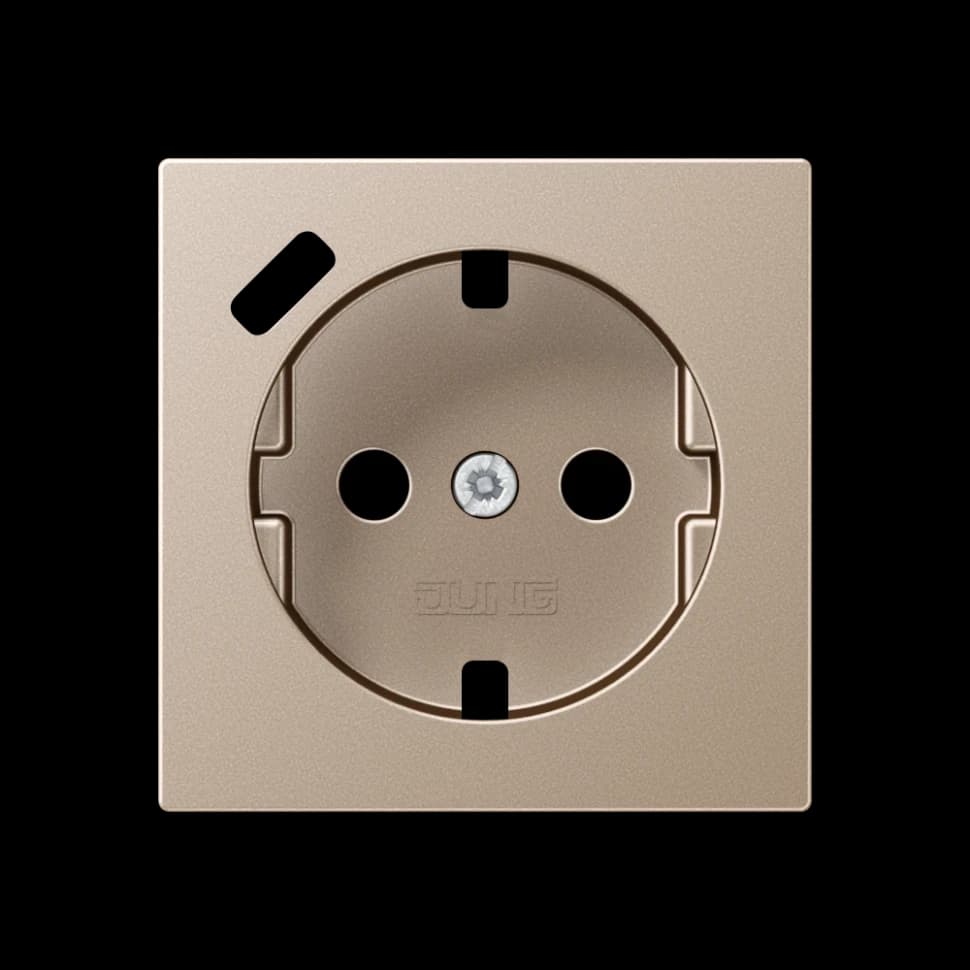 Jung Центральная накладка для SCHUKO USB C, A1520-18CPLCH A1520-18CPLCH JUNG