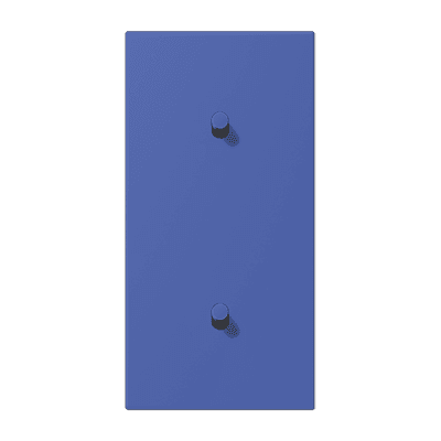 Накладка с 2 х 1 тумблерами, вертик., Jung LC12-20R0206 JUNG