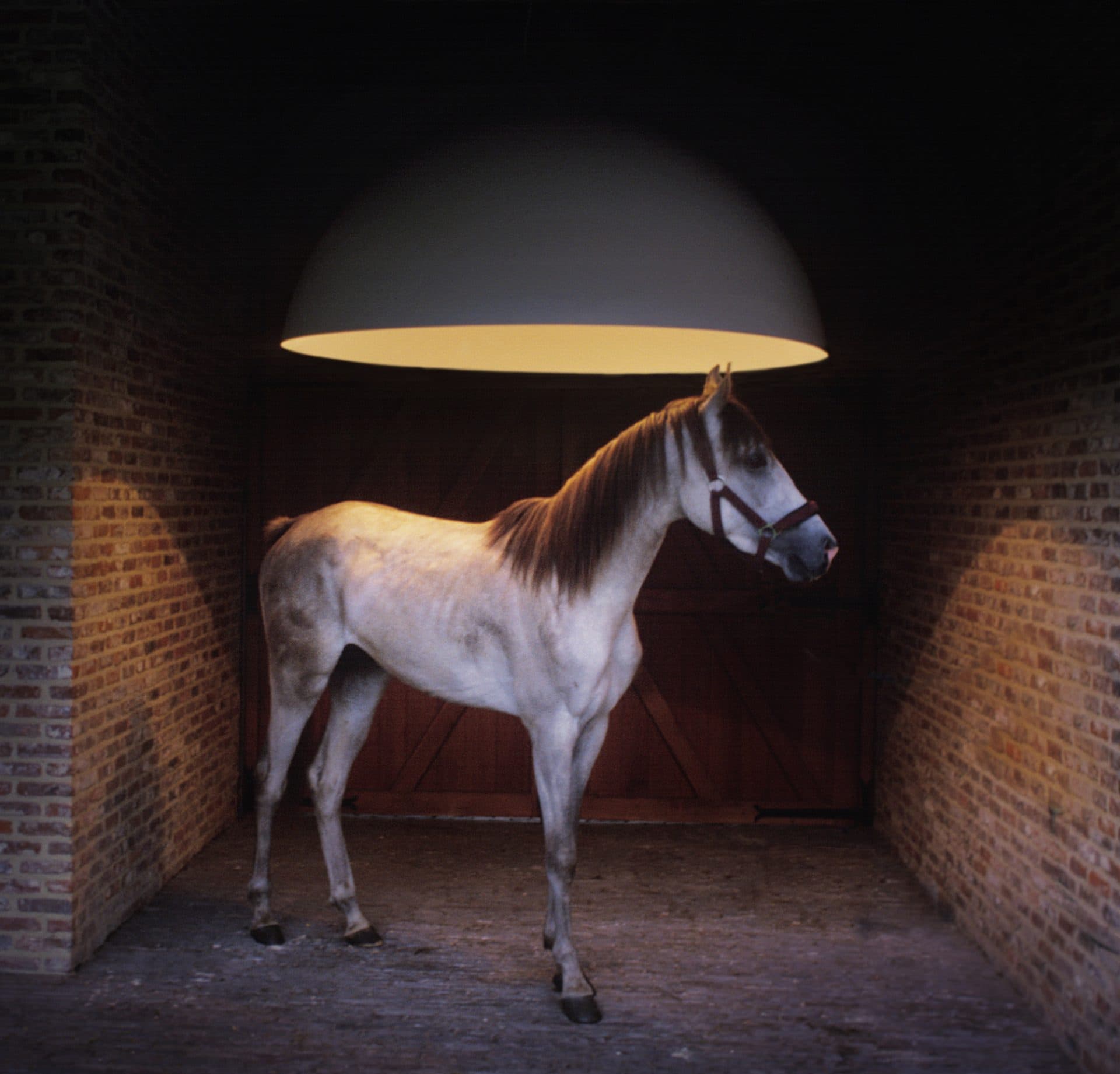 Подвесной светильник Eden Design °sphere Eden Design