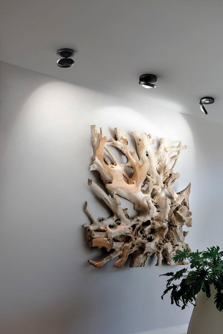 Потолочный светильник Studio Italia Design Nautilus Ceiling Lodes (Studio Italia Design)