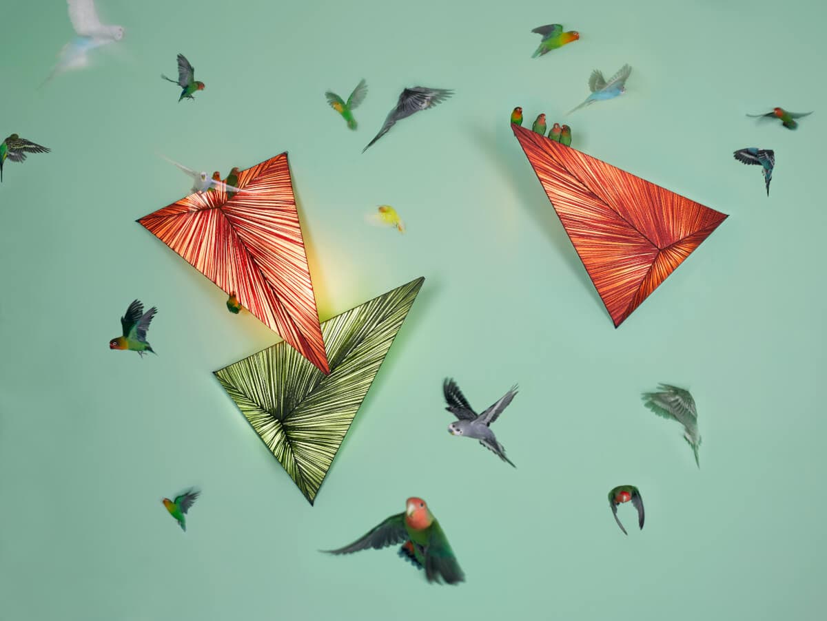 Настенно-потолочный светильник Aqua Creations Zooid Wall & Ceiling Light Aqua Creations