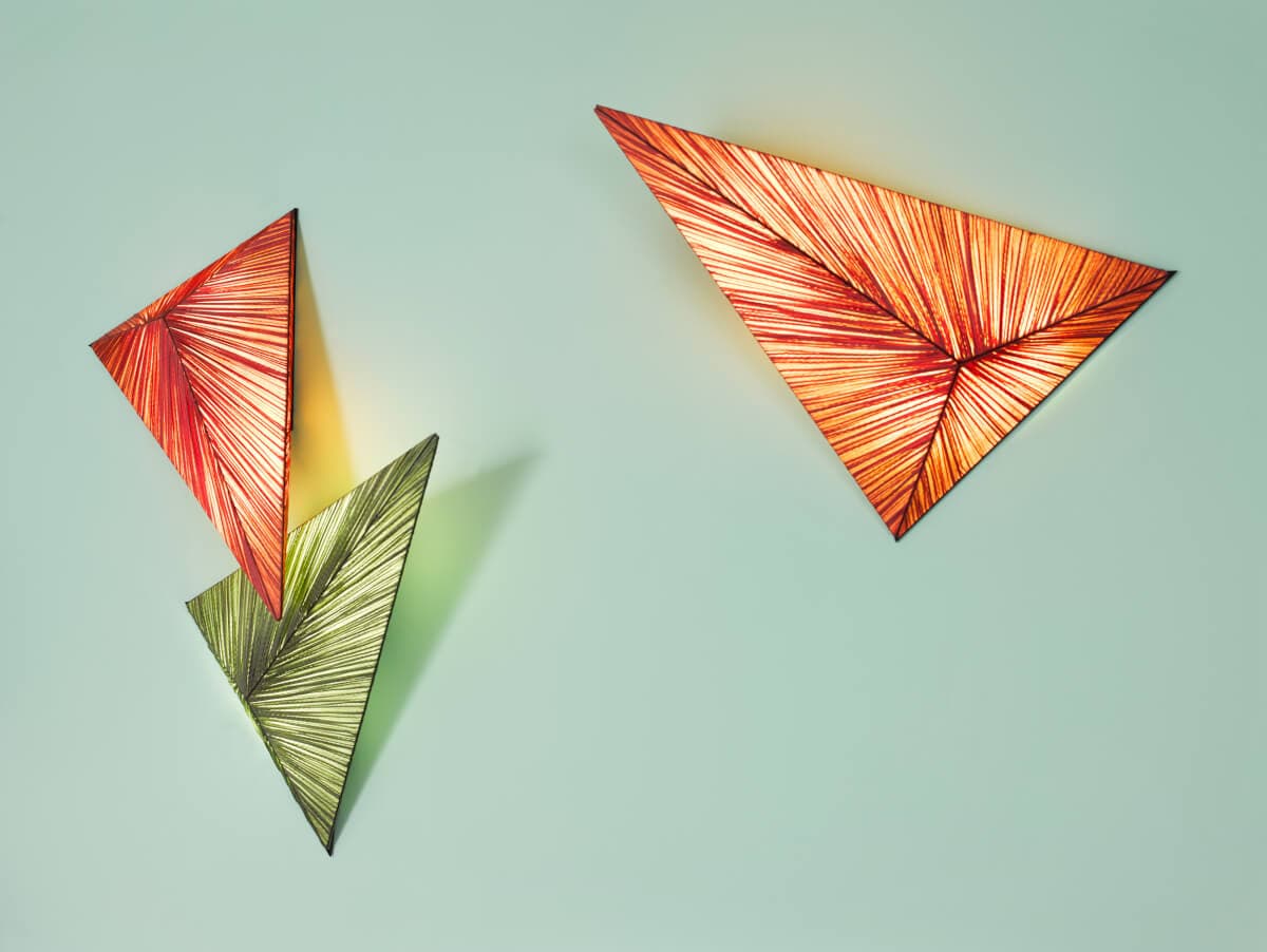 Настенно-потолочный светильник Aqua Creations Zooid Wall & Ceiling Light Aqua Creations